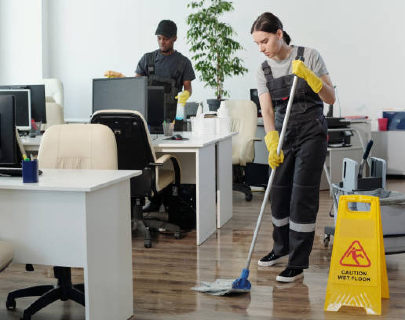 Licensed office cleaning specialists dusting furniture for T & M Services INC.